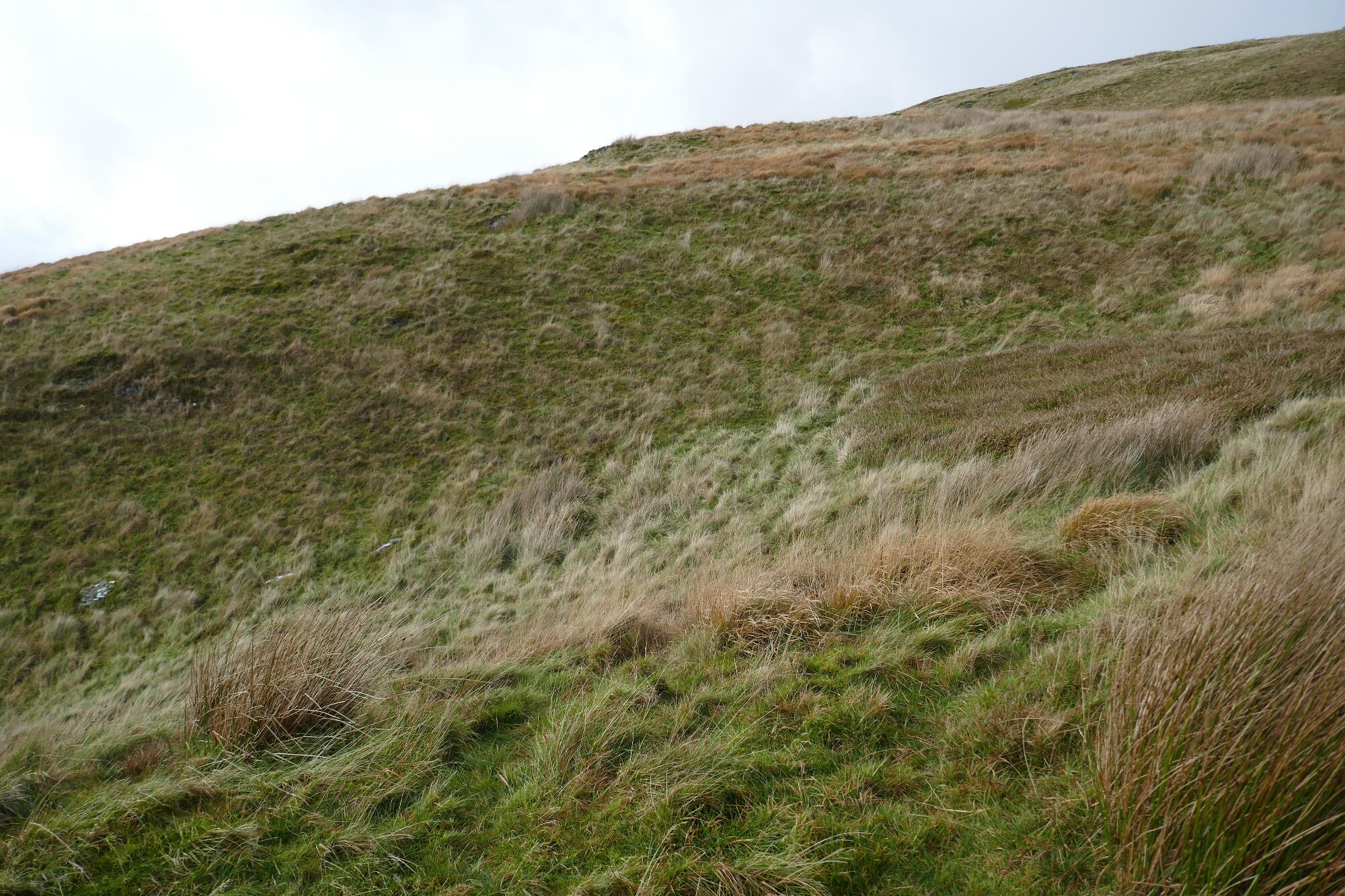 RachelSeabrook.net | Wild Walking | Cwm Hengwm | pic16